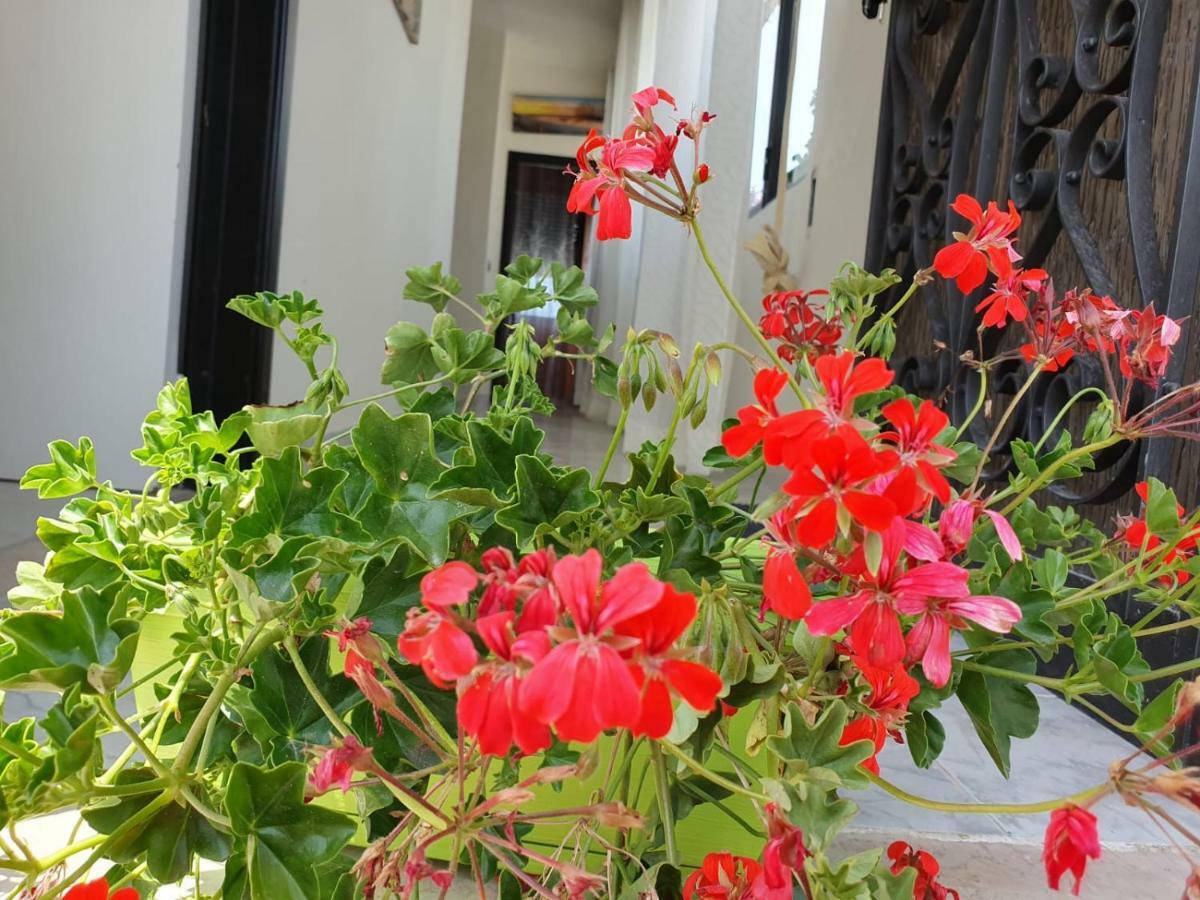 Il Casale Di Zi'Leo Bed and Breakfast Campomarino  Εξωτερικό φωτογραφία
